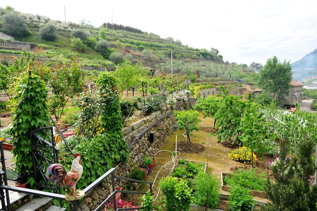 Le Rose Villa San Biagio della Cima Exterior photo